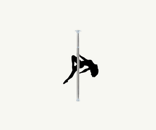 Poledance stång