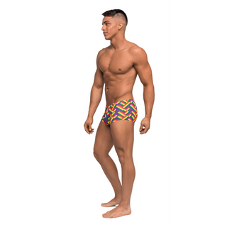 Regnbåge Pride Kalsonger, Låg Midja, Mini Short