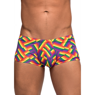 Pride Mini Shorts – Regnbågsfärgade, Låg Midja & Hög Benskärning:
Regnbågsfärgade Mini Shorts, Låg Midja, Hög Benskärning