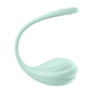 Appstyrd Vibrator Par - Bärbar Mint, 12 Program & Vattentät