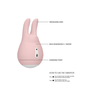 Mini Kanin Klitorisvibrator, 10 Funktioner, Vattentät, USB