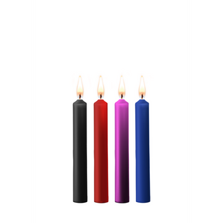 Teasing Vax Ljus - 4-pack - Multicolor
Vax Ljus Set - 4-pack - Multicolor