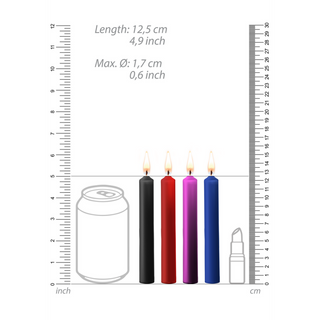 Teasing Vax Ljus - 4-pack - Multicolor
Vax Ljus Set - 4-pack - Multicolor